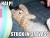 halp-stuck-in-crevass1.jpg