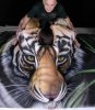 tiger-body-art6.jpg