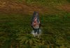 Aion0001.jpg