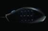 Rzr_Naga_SideView05_090820101549.jpg