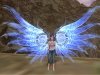 Aion0004.jpg