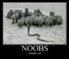 Demotivational-pictures-noobs.jpg