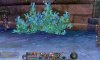 Aion0016.jpg