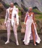 aion-daevanion-armor.jpg