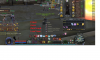 bugs 1.png