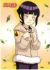 Hinata.Hyuuga.260843.jpg