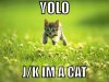 yolo.+i+hate+that+word+but+i+found+this+funny_be705f_3898812.jpg