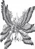 Seraphim_by_WhisperintheStorm.jpg