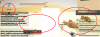 upload_2018-12-30_13-45-10.png