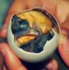 balot.jpg