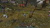 Aion0236.jpg