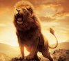 aslan lion 1440x1280-842.jpg