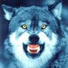 Wolfen