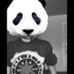 Alexiaz_the_Panda