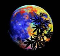 benasmokin