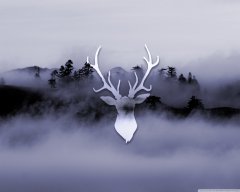Tyzun