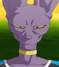 Beerus812