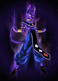 Beerus1992