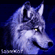 xSabreWolfx