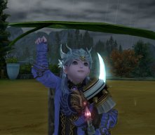 Darkica