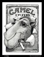 CamelFilters