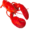 jarpprurriz
