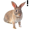 EmaLeto