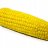 SpearlikeCorn